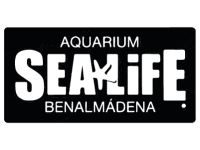 Sea Life